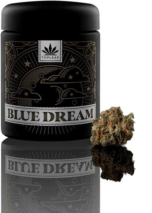 Blue Dream (Top Leaf)