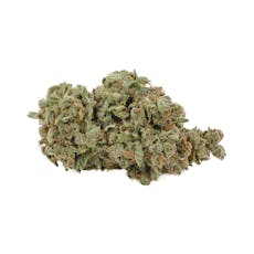 Apple Fritter 3.5G - BACK FORTY