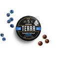 Terra Bites-Milk Choc. Blueberries - 100mg - 20ct