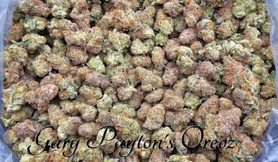 (H) Gary Payton's Oreoz Deli by SCORPION GRASS