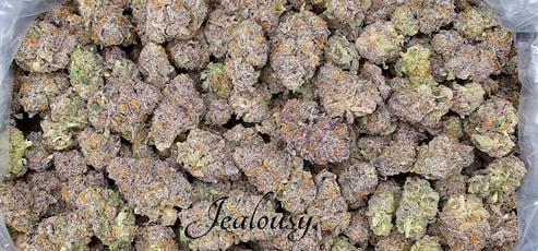 (H) Jealousy Deli by SCORPION GRASS