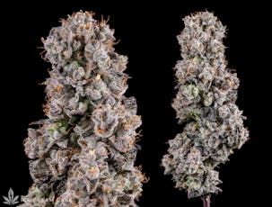 1/8 - Ice Cream Cake