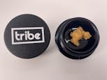 Tribe - Grandaddy Dawg - Live Sugar - 1g Concentrate (Indica) by Tribe Collective LLC 