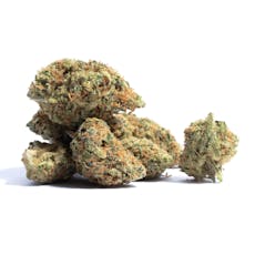Grow West Premium MK Ultra Black Ops