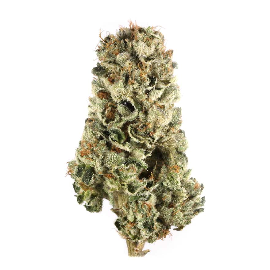 Cherry Pie Cannabis Strain Information Leafly