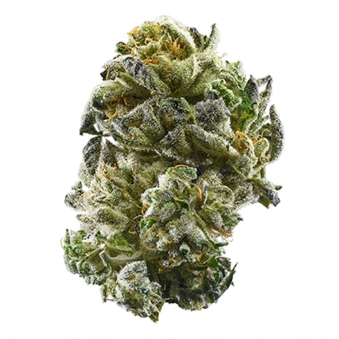 Gsc 1 F K A Girls Scout Cookies Leafly Gsc 1 F K A Girls Scout Cookies Leafly