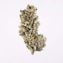 Purple Punch nugget