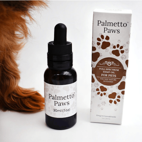 Palmetto Paws