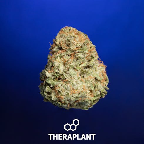 Ratindica 7897