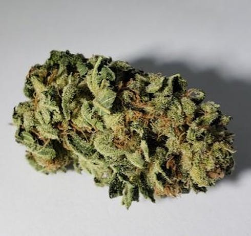 Lemon Kush Headband