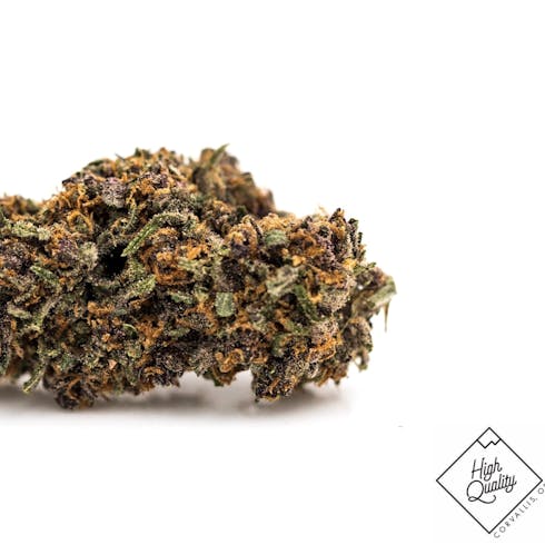 Forbidden Fruit