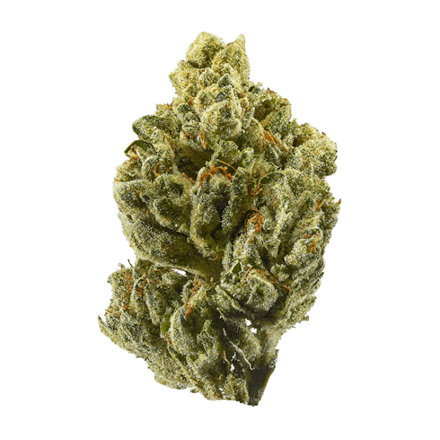 Bronze Tier I OG Kush