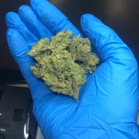Sour Cookies