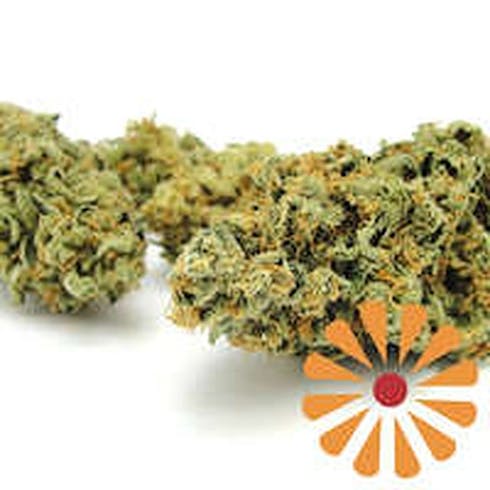 Cookies - Papaya