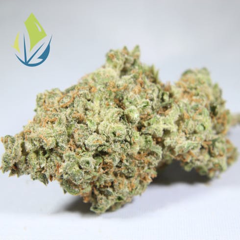 Durban Kush
