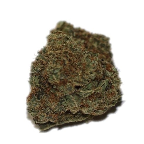 Gelato