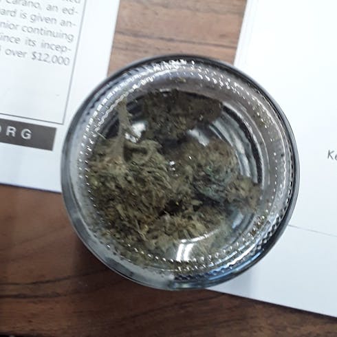 CBG Lemon Cream Diesel