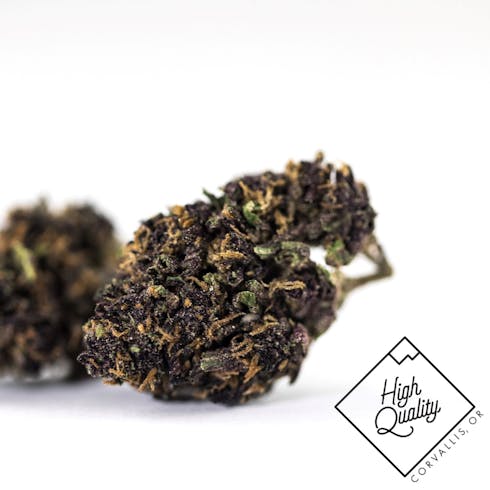 8$ Gram: Forbidden Fruit by Million Elephants