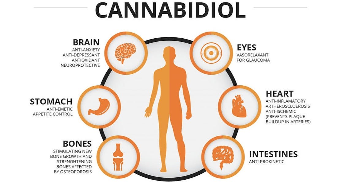 CBD American Shaman Lansing