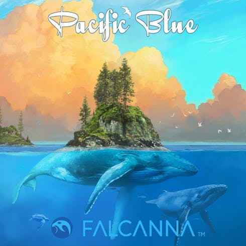 Pacific Blue by Falcanna