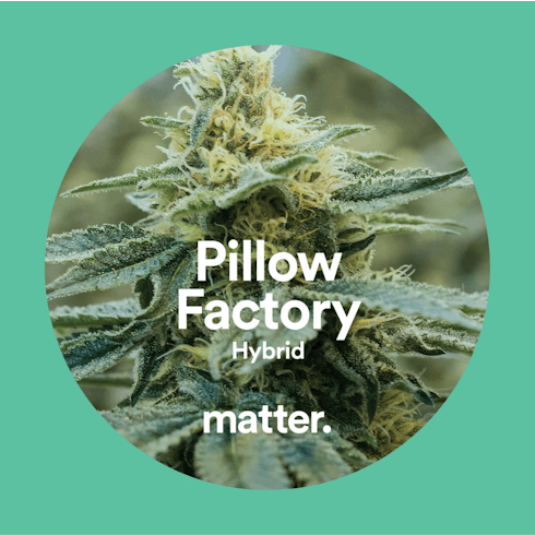 Pillow Factory 3.5g