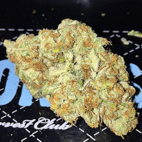 Tangie Tahoe