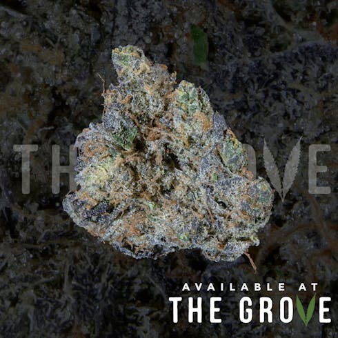 $45 1/8ths: Garlic Mint by FloraCal Farms