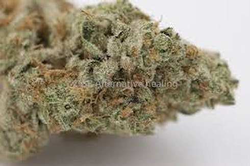 $99 Oz - Banana Pie (Decibel Farm)