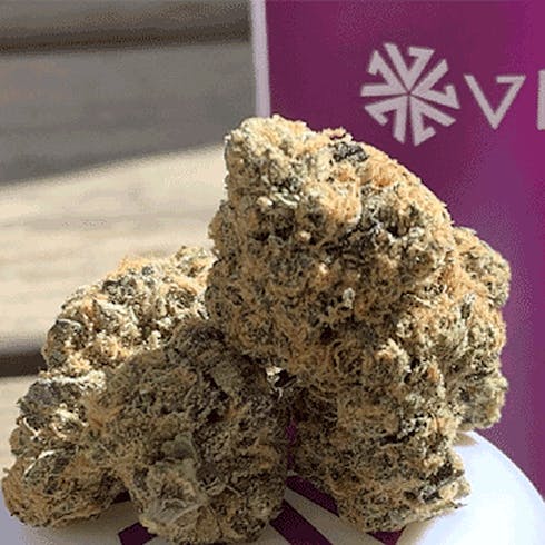 WHIFI OG by Viola