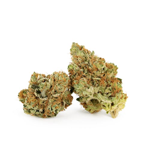 AZ Berry Kush