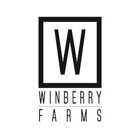 15 mL CBD Rich Oil Oil by Winberry Farms