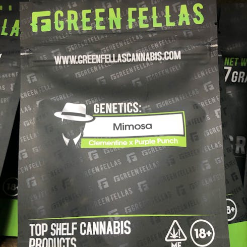 Mimosa