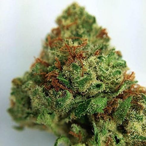 Chem OG (Indoor)