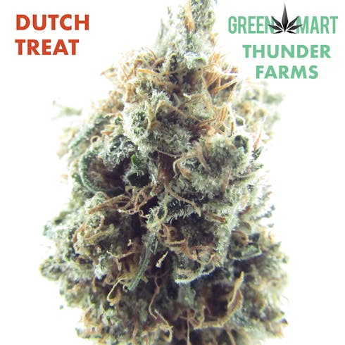 Dutch Treat