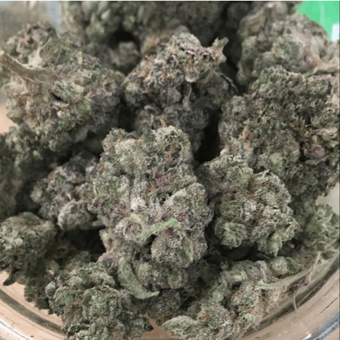 $160oz- Animal Face (Sugarbud)