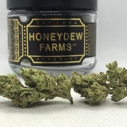 Sundae Driver - Honeydew Farms