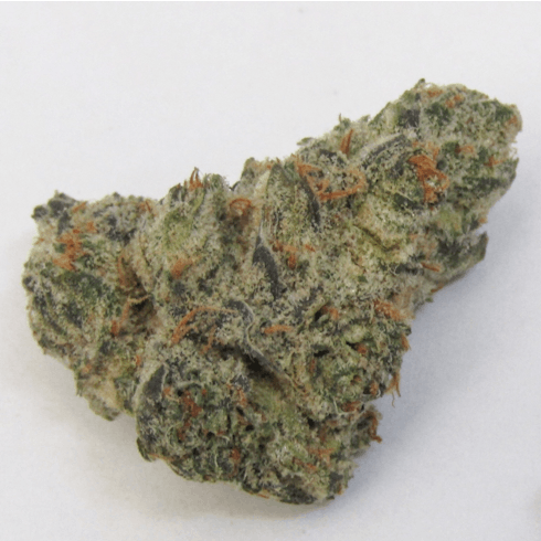 (Premium) Mendo Breath