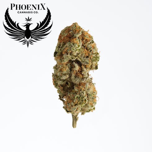 $9 PCC - Blue Ocean