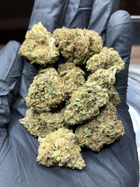 Wifi OG