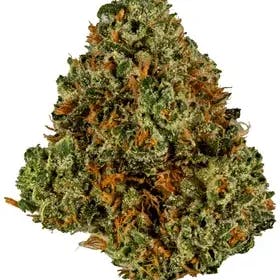 Slurricane | Redwood Trees | Flower