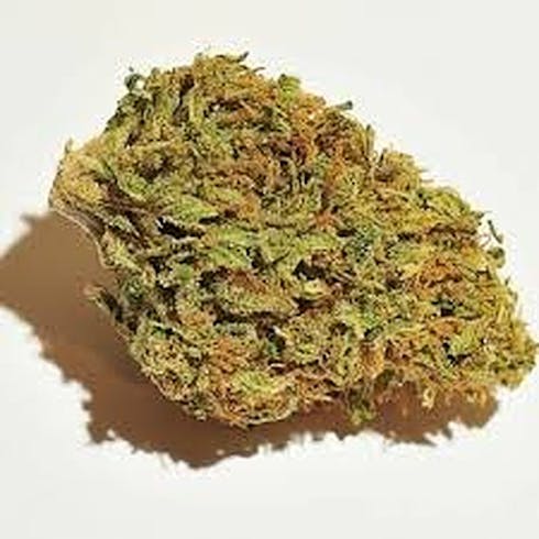 FRONTIER SOUTH FORK KUSH