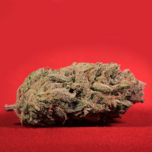 Salmon River OG