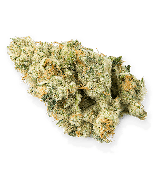 Blackberry Octane #7