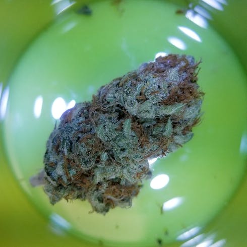 HULKBERRY
