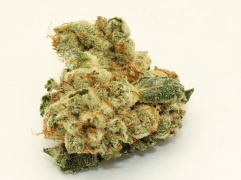 Afghani (17.7% THC)(Medical)