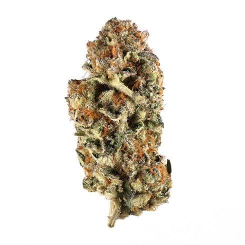 Dosido (23.11% THC) Smoakland