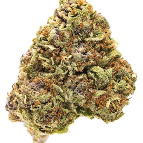 Purple Hindu Kush- Indica