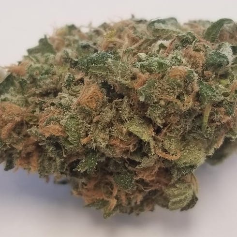 Venom OG