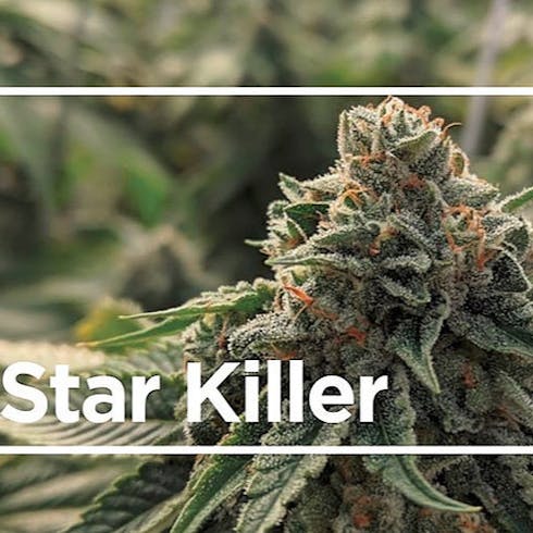 Star Killer