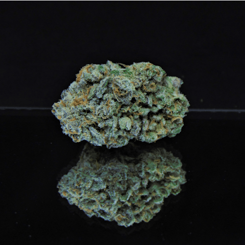 Bernie MAC (Mikado x BC Big Bud) *Indica Dominant Hybrid